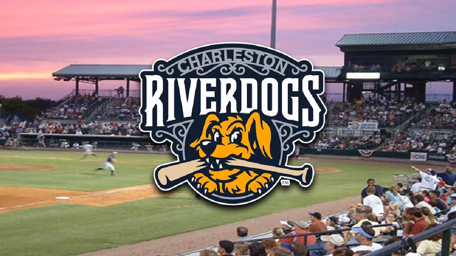 Charleston Riverdogs Baseball Logo and Stadium Image